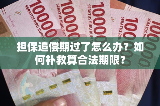 济南担保追偿期过了怎么办？如何补救算合法期限？